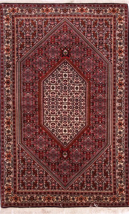 Bidjar Multicolor Hand Knotted 36 X 58 Area Rug 155-75352 Image 0