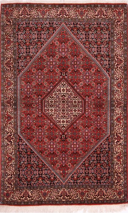 Bidjar Multicolor Hand Knotted 36 X 55  Area Rug 155-75353 Image 0