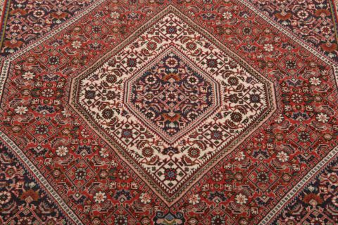 Bidjar Multicolor Hand Knotted 36 X 53  Area Rug 155-75356 Image 3