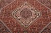 Bidjar Multicolor Hand Knotted 36 X 53  Area Rug 155-75356 Thumb 3