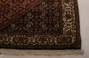 Bidjar Multicolor Hand Knotted 37 X 50  Area Rug 155-75365 Thumb 4