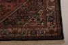 Bidjar Multicolor Hand Knotted 37 X 53  Area Rug 155-75369 Thumb 4