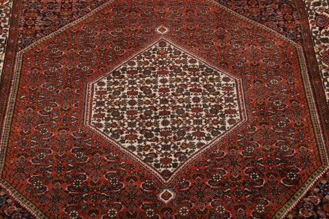 Bidjar Multicolor Hand Knotted 37 X 56  Area Rug 155-75373 Image 3