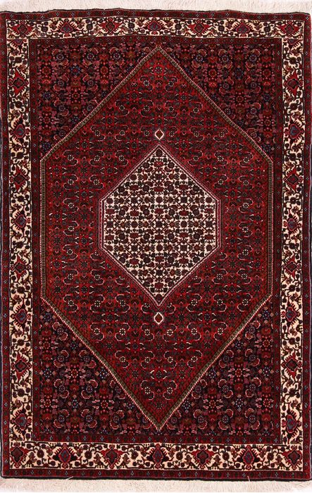 Bidjar Multicolor Hand Knotted 37 X 56  Area Rug 155-75373 Image 0
