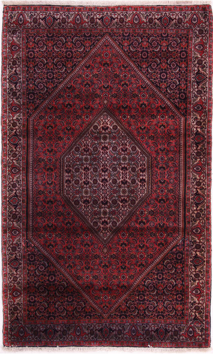 Bidjar Multicolor Hand Knotted 37 X 60  Area Rug 155-75376 Image 0