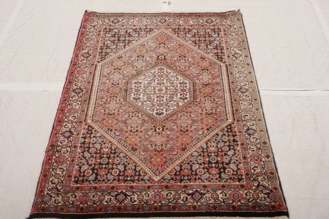 Bidjar Multicolor Hand Knotted 23 X 410  Area Rug 155-75377 Image 1