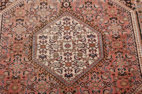 Bidjar Multicolor Hand Knotted 23 X 410  Area Rug 155-75377 Image 3