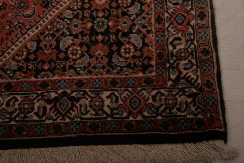 Bidjar Multicolor Hand Knotted 23 X 410  Area Rug 155-75377 Image 4