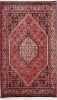 Bidjar Multicolor Hand Knotted 23 X 410  Area Rug 155-75377 Thumb 0