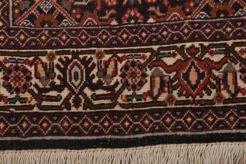 Bidjar Multicolor Hand Knotted 33 X 52  Area Rug 155-75378 Image 5