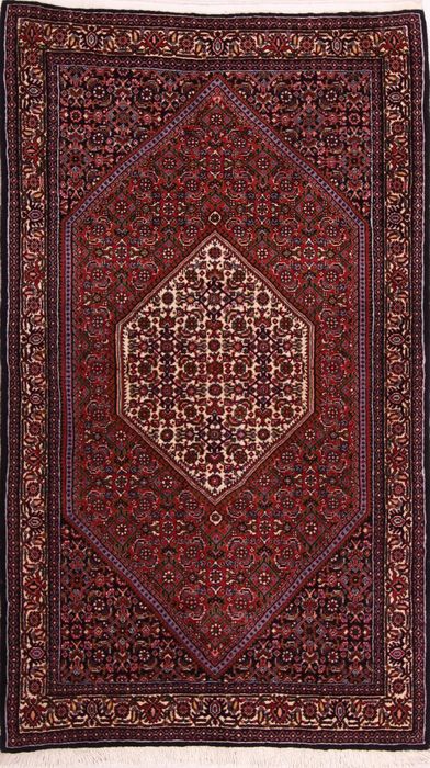 Bidjar Multicolor Hand Knotted 33 X 52  Area Rug 155-75378 Image 0