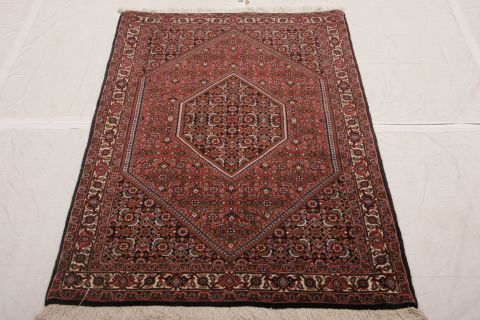 Bidjar Multicolor Hand Knotted 30 X 50 Area Rug 155-75379 Image 1