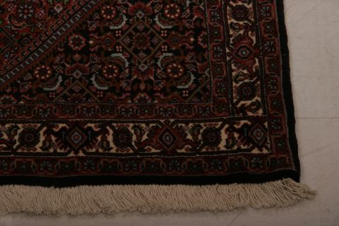 Bidjar Multicolor Hand Knotted 30 X 50 Area Rug 155-75379 Image 4