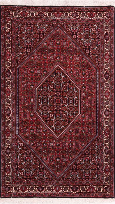 Bidjar Multicolor Hand Knotted 30 X 50 Area Rug 155-75379 Image 0