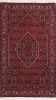 Bidjar Multicolor Hand Knotted 30 X 50  Area Rug 155-75379 Thumb 0