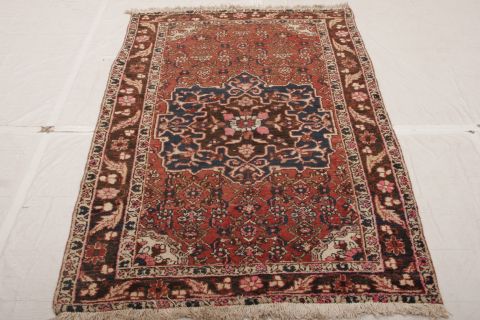 Bidjar Multicolor Hand Knotted 40 X 64  Area Rug 155-75407 Image 2