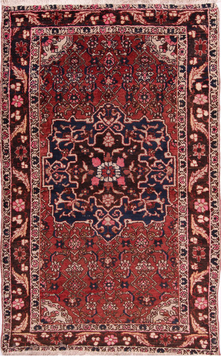 Bidjar Multicolor Hand Knotted 40 X 64  Area Rug 155-75407 Image 0