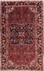 Bidjar Multicolor Hand Knotted 40 X 64  Area Rug 155-75407 Thumb 0