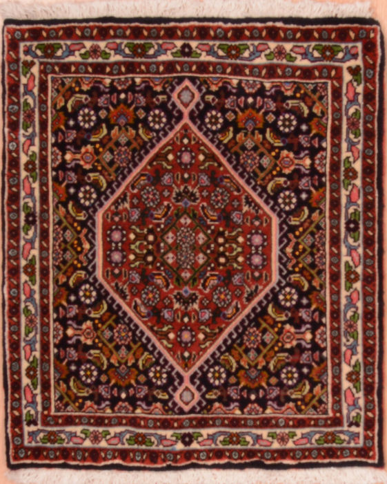 Bidjar Red Square Hand Knotted 19 X 21 Area Rug 100-75417 Image 0