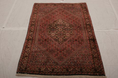 Bidjar Multicolor Hand Knotted 30 X 51 Area Rug 155-75443 Image 1