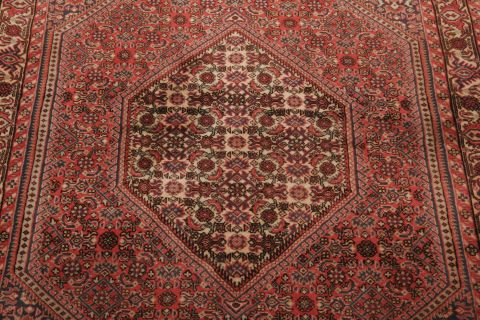 Bidjar Multicolor Hand Knotted 30 X 51 Area Rug 155-75443 Image 5
