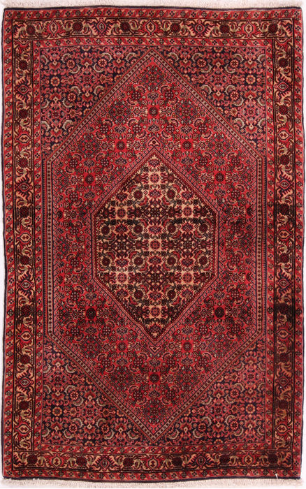 Bidjar Multicolor Hand Knotted 30 X 51 Area Rug 155-75443 Image 0