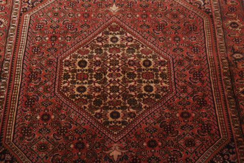 Bidjar Multicolor Hand Knotted 28 X 46  Area Rug 155-75444 Image 3