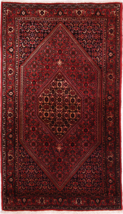 Bidjar Multicolor Hand Knotted 28 X 46  Area Rug 155-75444 Image 0