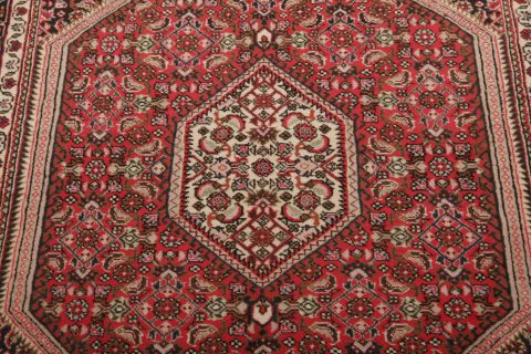 Bidjar Multicolor Hand Knotted 27 X 44  Area Rug 155-75445 Image 3