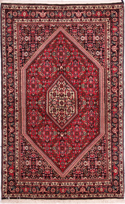 Bidjar Multicolor Hand Knotted 27 X 44  Area Rug 155-75445 Image 0