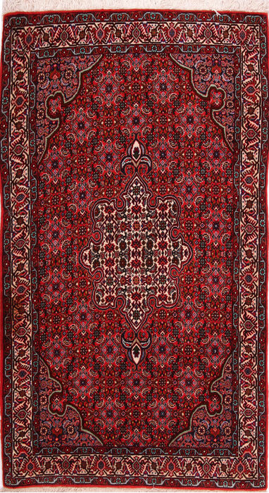 Bidjar Multicolor Hand Knotted 211 X 54  Area Rug 155-75446 Image 0