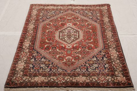 Bidjar Multicolor Hand Knotted 34 X 410  Area Rug 155-75447 Image 4