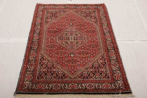 Bidjar Multicolor Hand Knotted 30 X 47  Area Rug 155-75457 Image 1