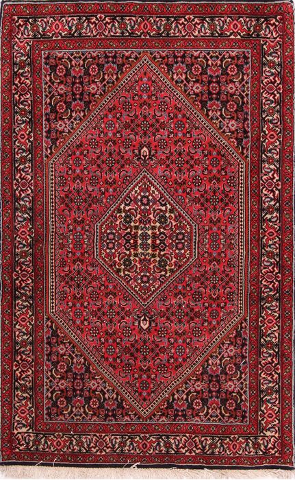 Bidjar Multicolor Hand Knotted 30 X 47  Area Rug 155-75457 Image 0