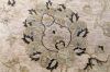 Jaipur Beige Hand Knotted 80 X 100 Area Rug 901-75624 Thumb 1