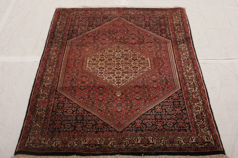Bidjar Multicolor Hand Knotted 31 X 48  Area Rug 155-75839 Image 5