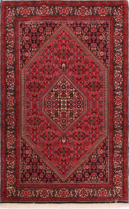 Bidjar Multicolor Hand Knotted 31 X 48  Area Rug 155-75839 Image 0
