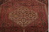 Bidjar Multicolor Hand Knotted 31 X 48  Area Rug 155-75839 Thumb 7