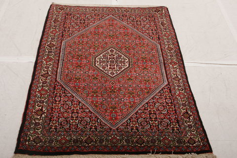Bidjar Multicolor Hand Knotted 33 X 410  Area Rug 155-75843 Image 1