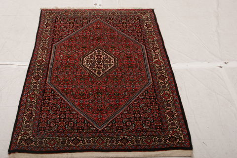 Bidjar Multicolor Hand Knotted 33 X 410  Area Rug 155-75843 Image 2