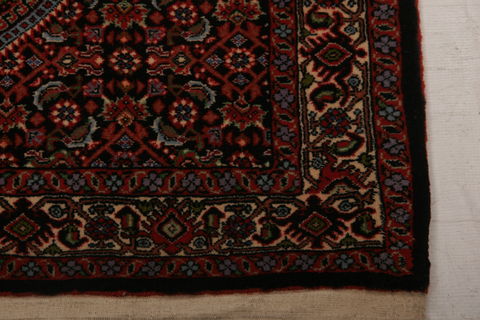 Bidjar Multicolor Hand Knotted 33 X 410  Area Rug 155-75843 Image 4