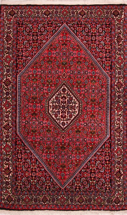 Bidjar Multicolor Hand Knotted 33 X 410  Area Rug 155-75843 Image 0