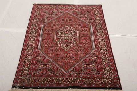 Bidjar Multicolor Hand Knotted 210 X 47  Area Rug 155-75844 Image 1