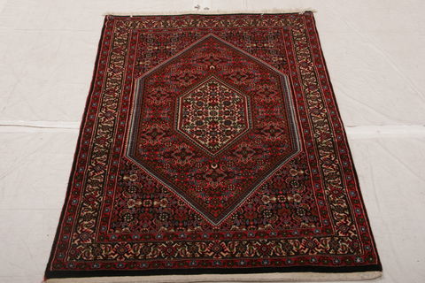 Bidjar Multicolor Hand Knotted 210 X 47  Area Rug 155-75844 Image 2