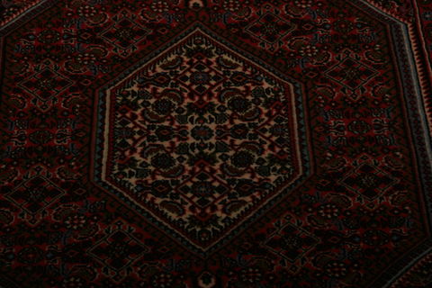 Bidjar Multicolor Hand Knotted 210 X 47  Area Rug 155-75844 Image 3