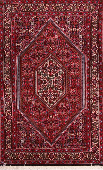 Bidjar Multicolor Hand Knotted 210 X 47  Area Rug 155-75844 Image 0