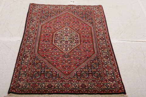 Bidjar Multicolor Hand Knotted 210 X 410  Area Rug 155-75845 Image 1