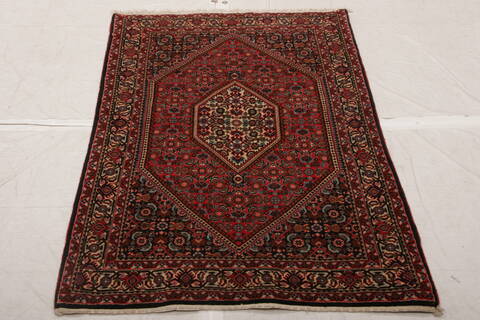 Bidjar Multicolor Hand Knotted 210 X 410  Area Rug 155-75845 Image 2