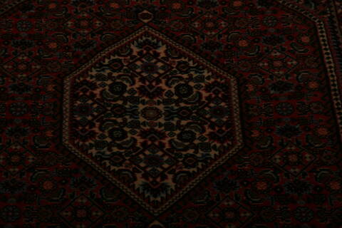 Bidjar Multicolor Hand Knotted 210 X 410  Area Rug 155-75845 Image 3