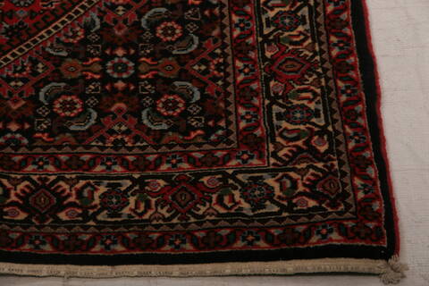 Bidjar Multicolor Hand Knotted 210 X 410  Area Rug 155-75845 Image 4